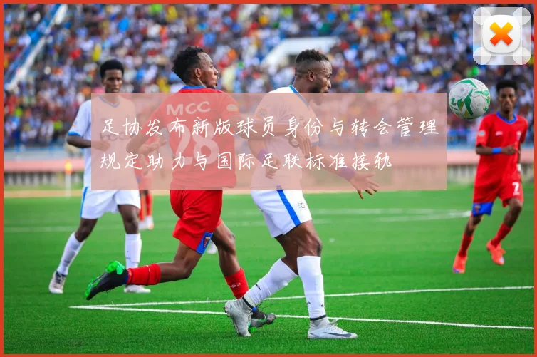 足协发布新版球员身份与转会管理规定助力与国际足联标准接轨
