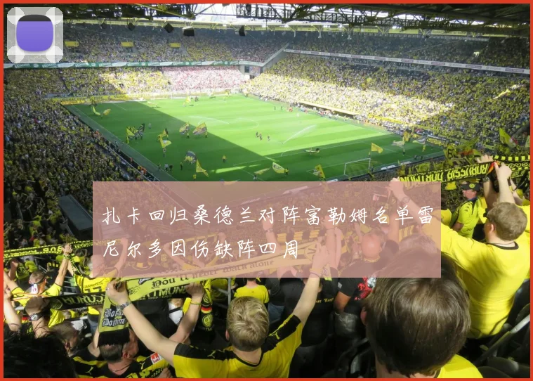 扎卡回归桑德兰对阵富勒姆名单雷尼尔多因伤缺阵四周