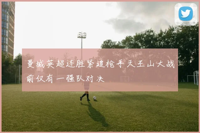 曼城英超连胜紧追枪手天王山大战前仅有一强队对决
